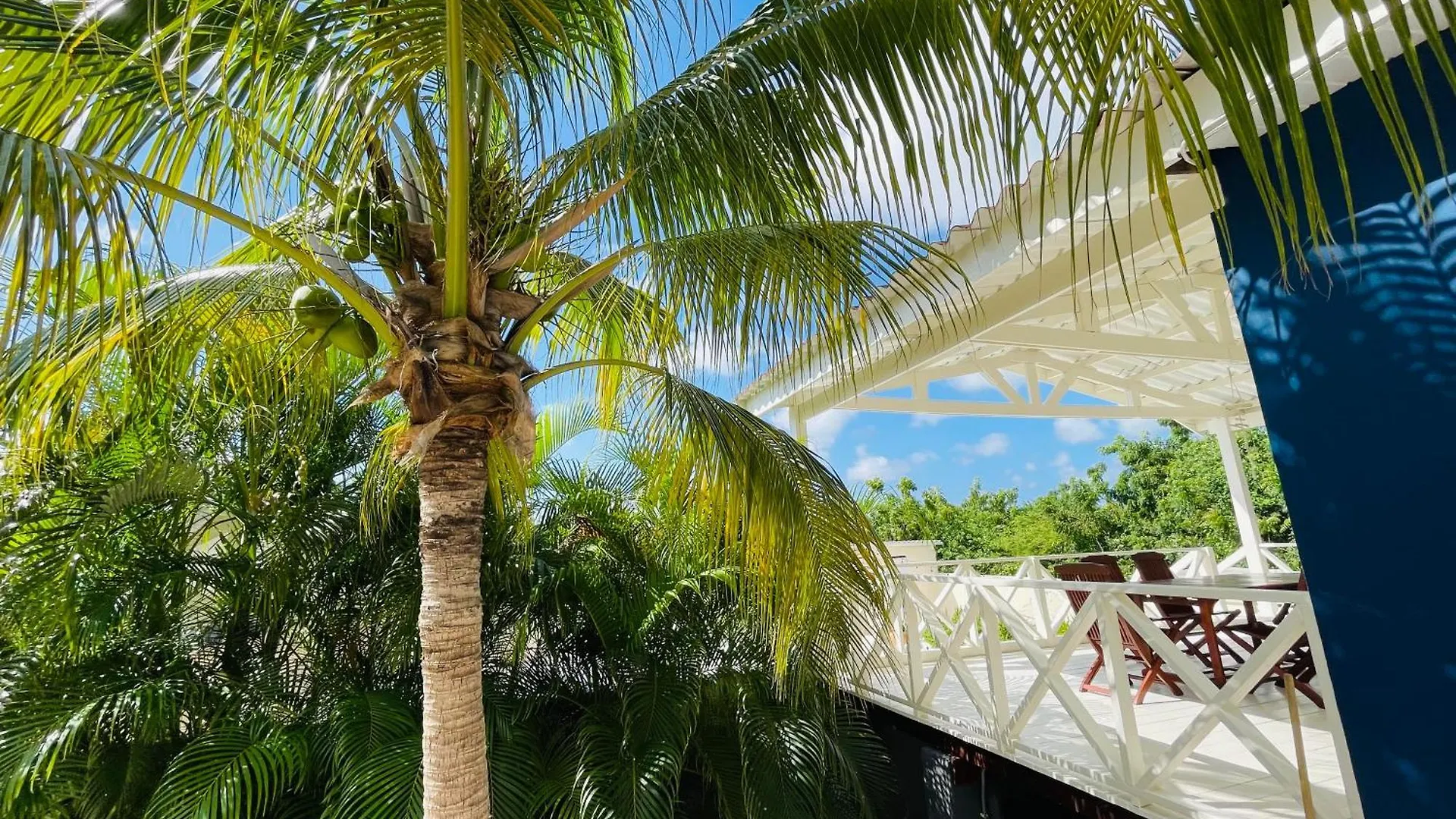 Mini Resort Kaya Verdi Willemstad Vakantiehuis